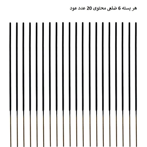 1688210196995.webp