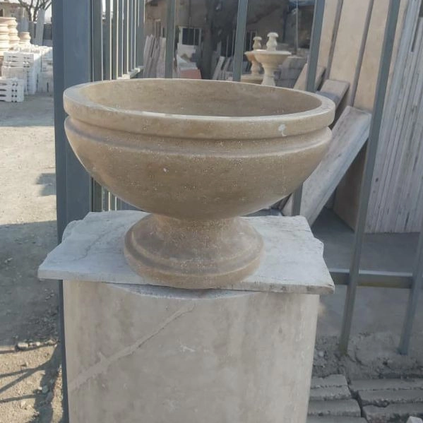 1701758431384.webp