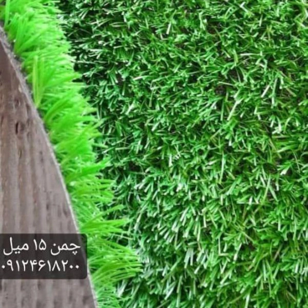 1709970892240.webp