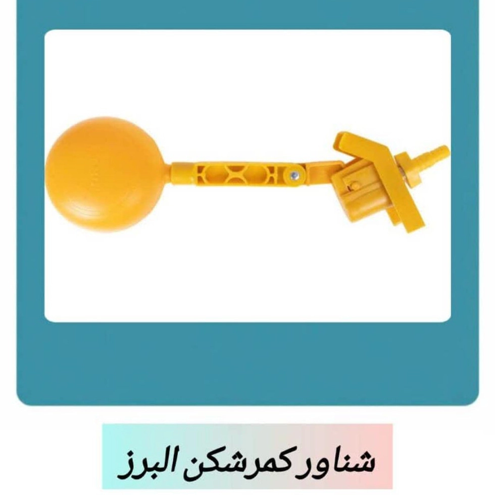 1771913937980.webp