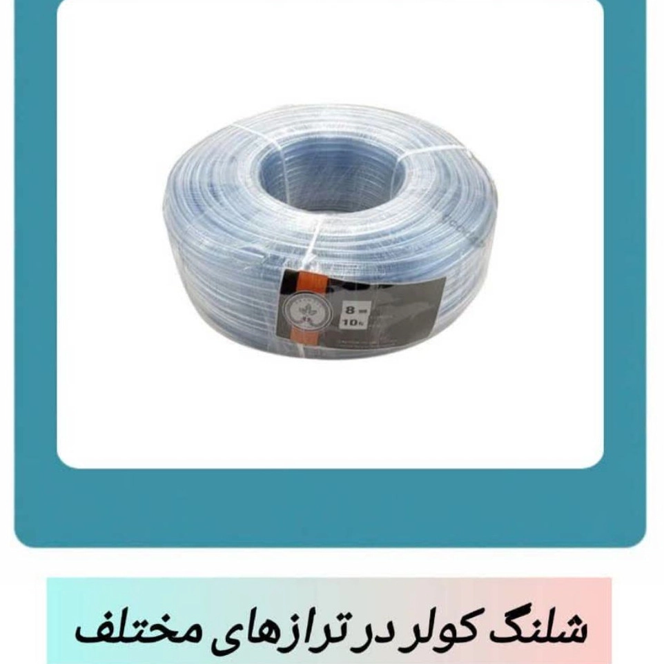 1771914539556.webp