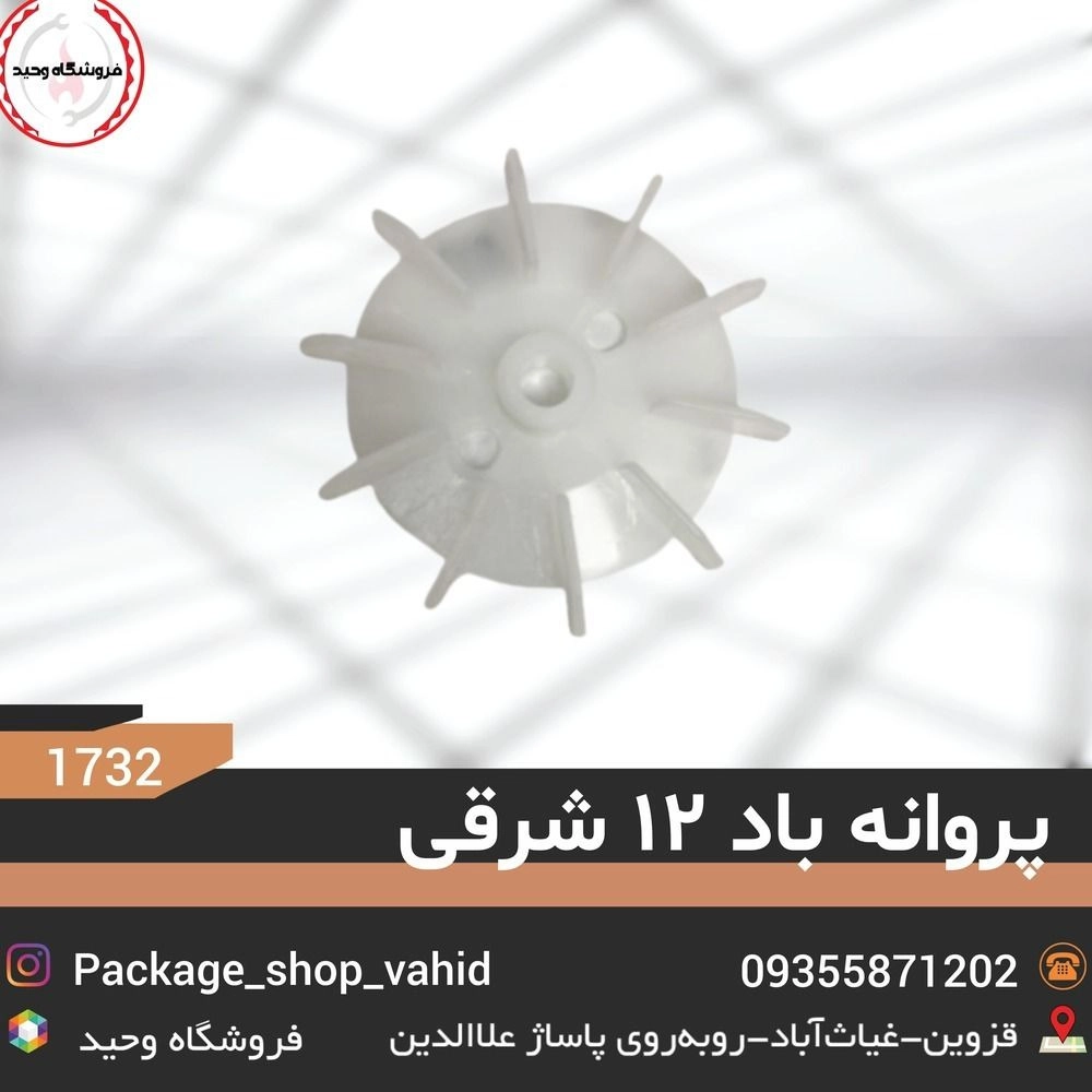 1781422720578.webp
