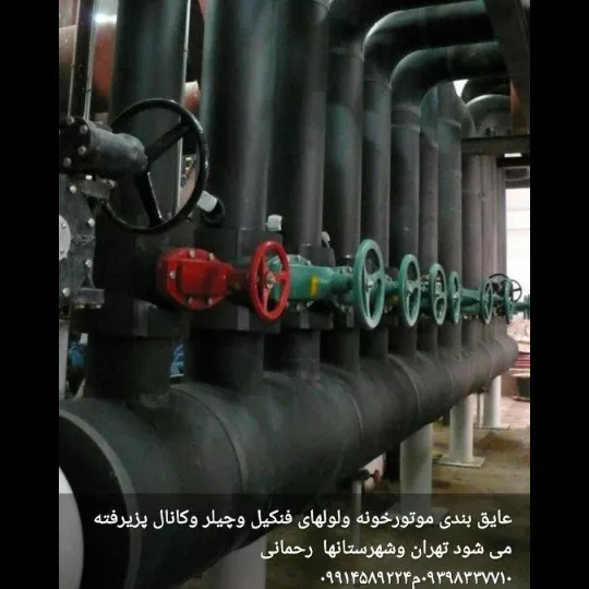 1690795268770.webp