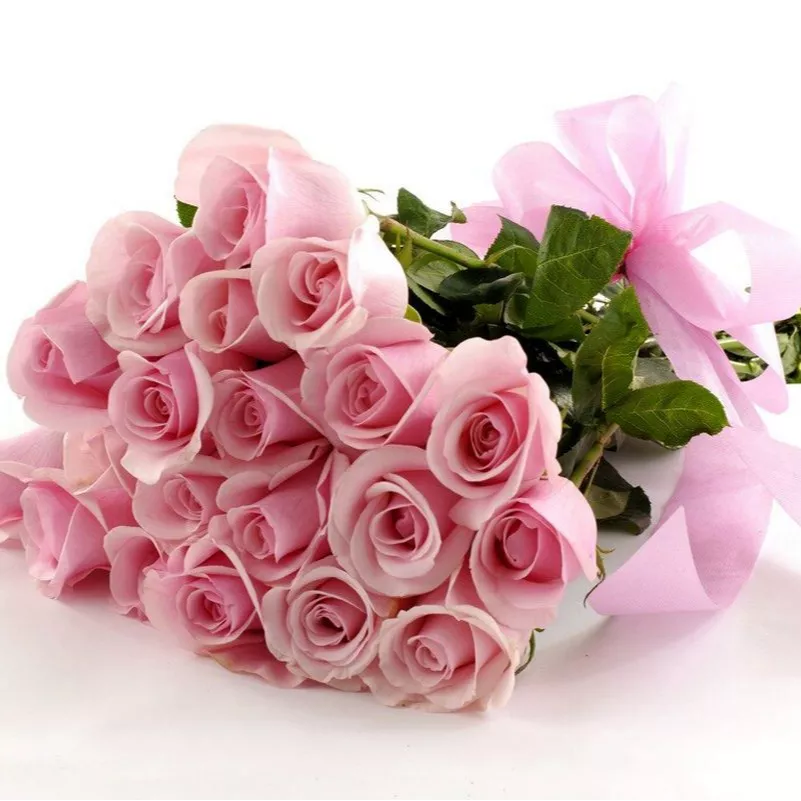 1697347569761.webp