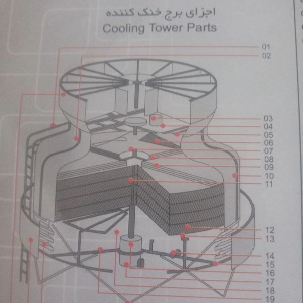 1699689209383.webp