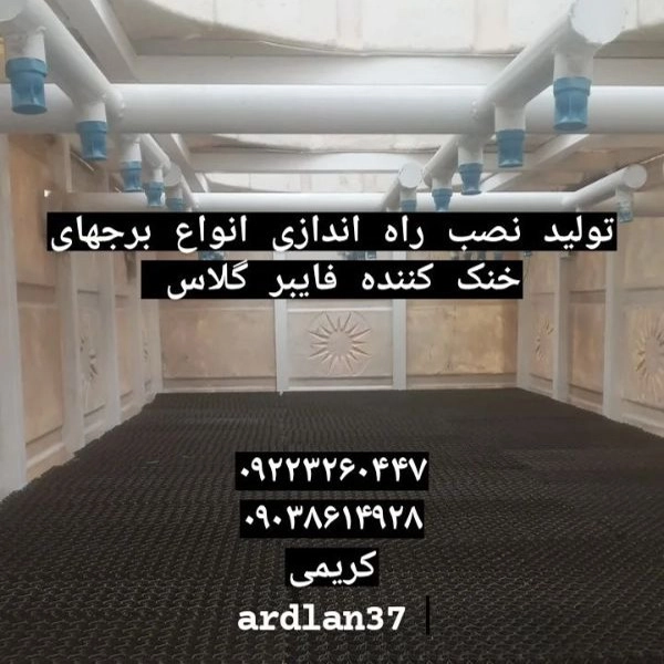 1700380286165.webp