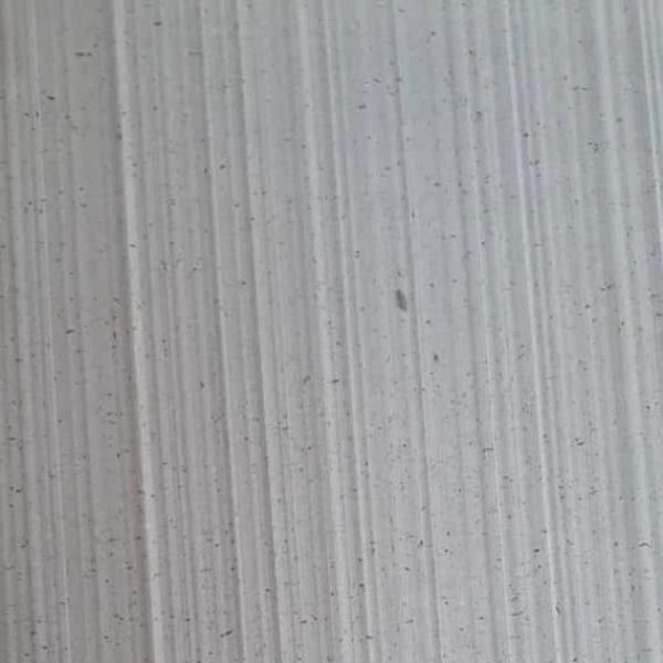 1705995093003.webp