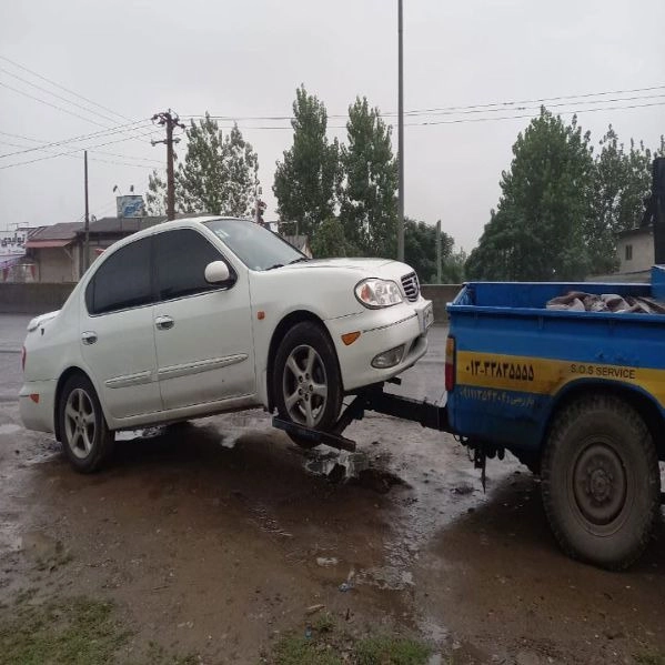 1718698460725.webp
