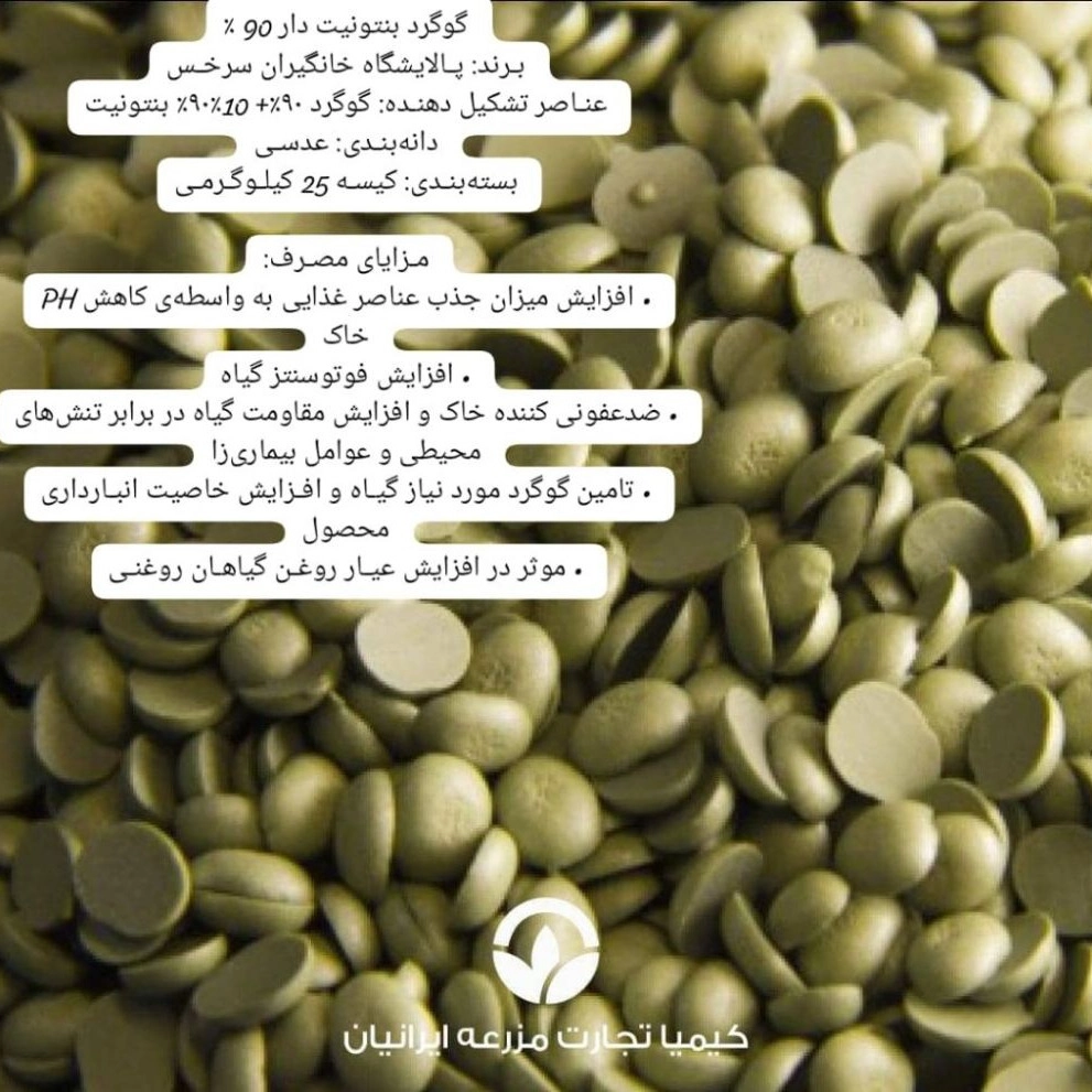 1730541019148.webp