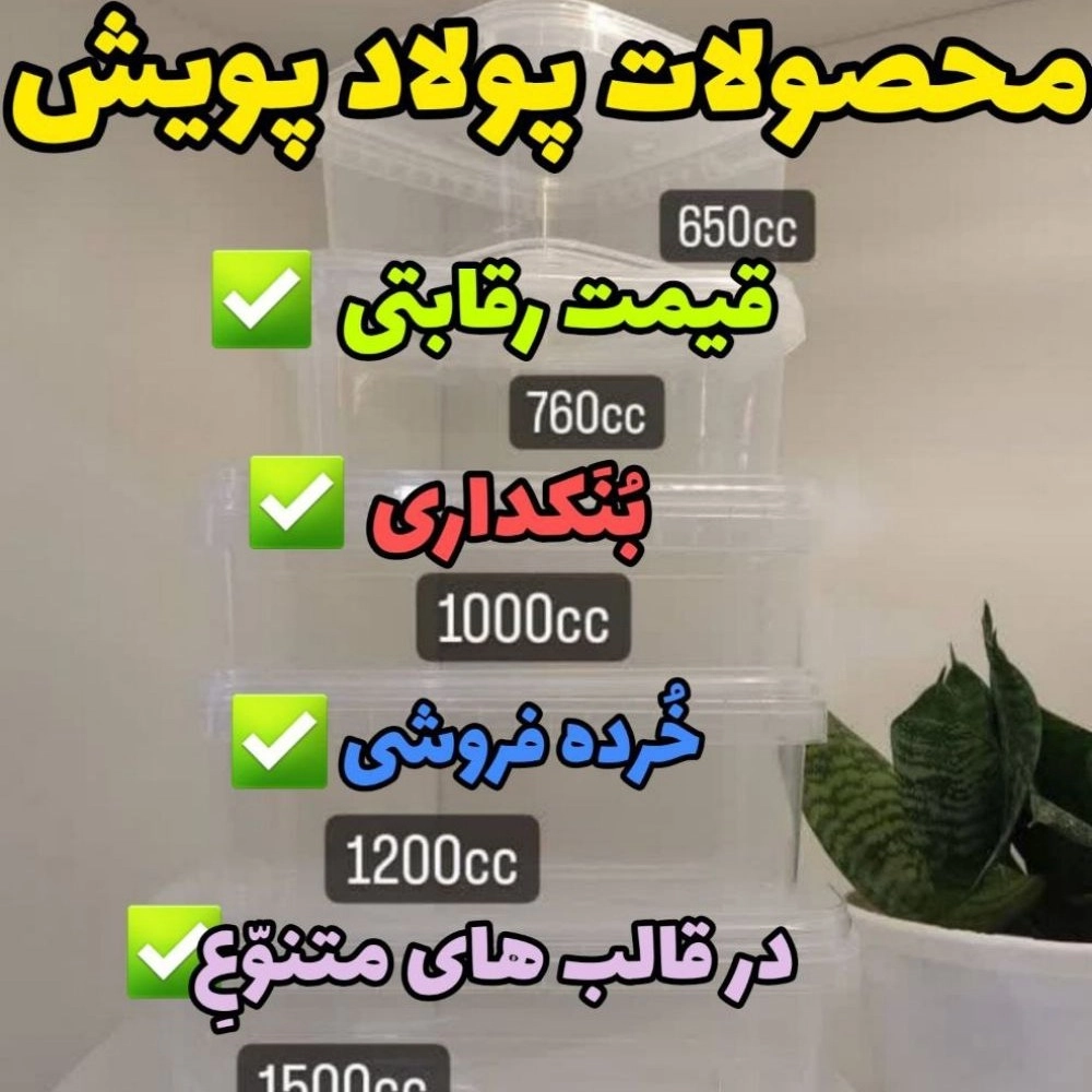 1730637325603.webp
