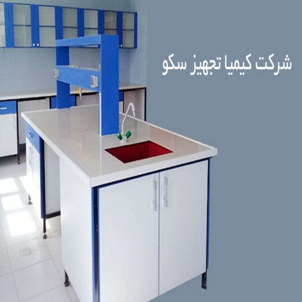 1733732160078.webp