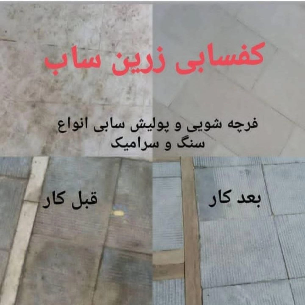 1733827922456.webp