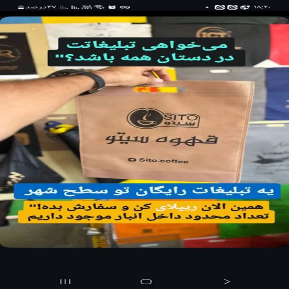 1734251087924.webp