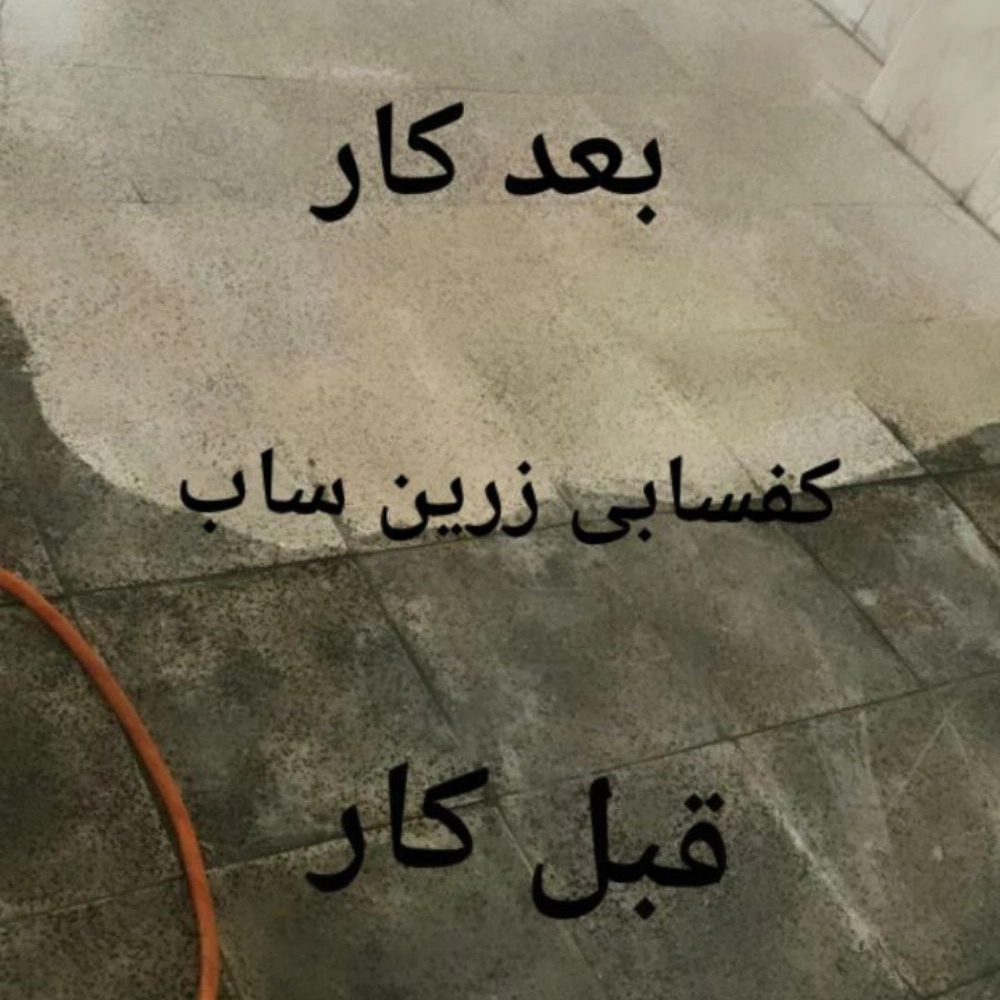1736318222733.webp