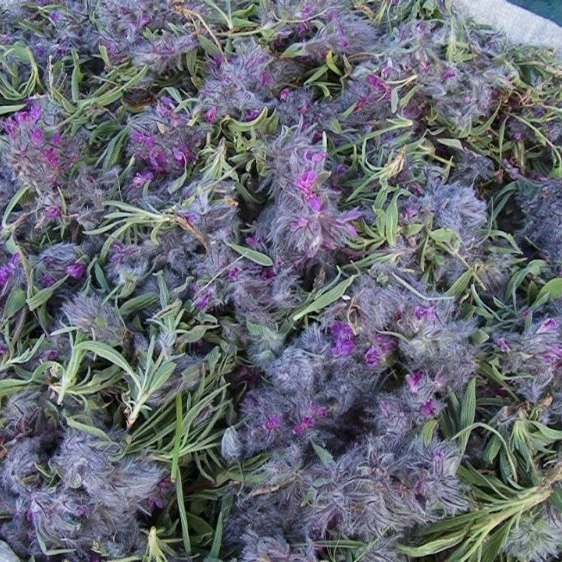 1746610116762.webp