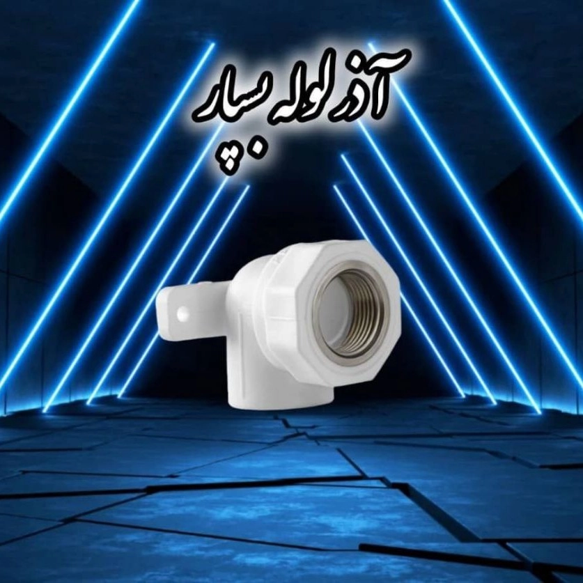 1755600540187.webp