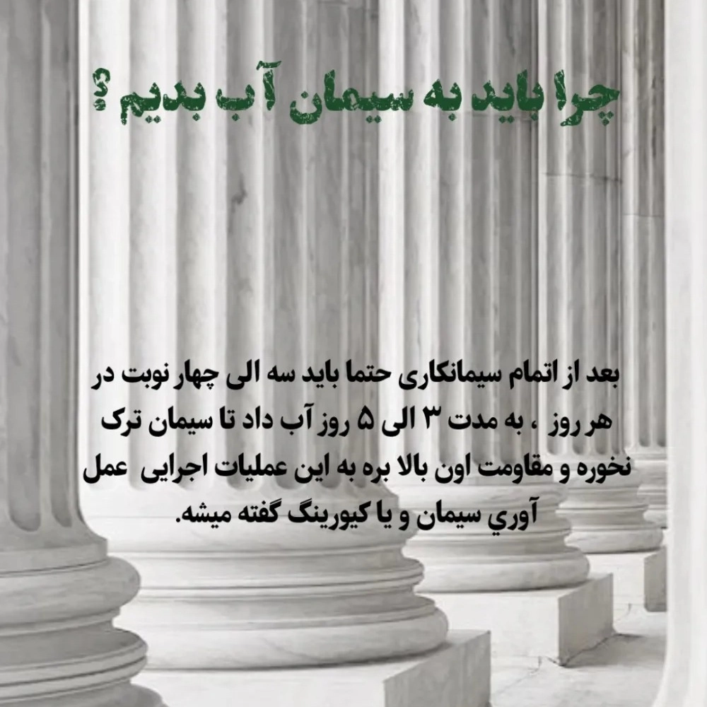 1756590303189.webp