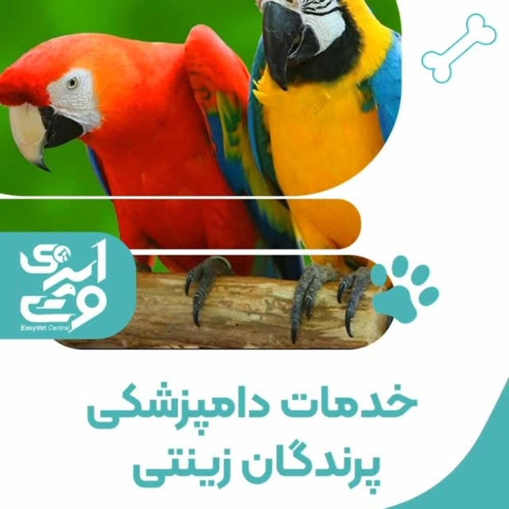 1760776006982.webp