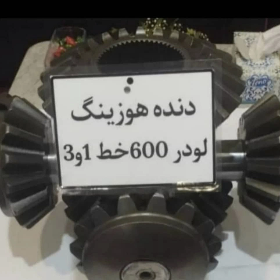 1762940206562.webp