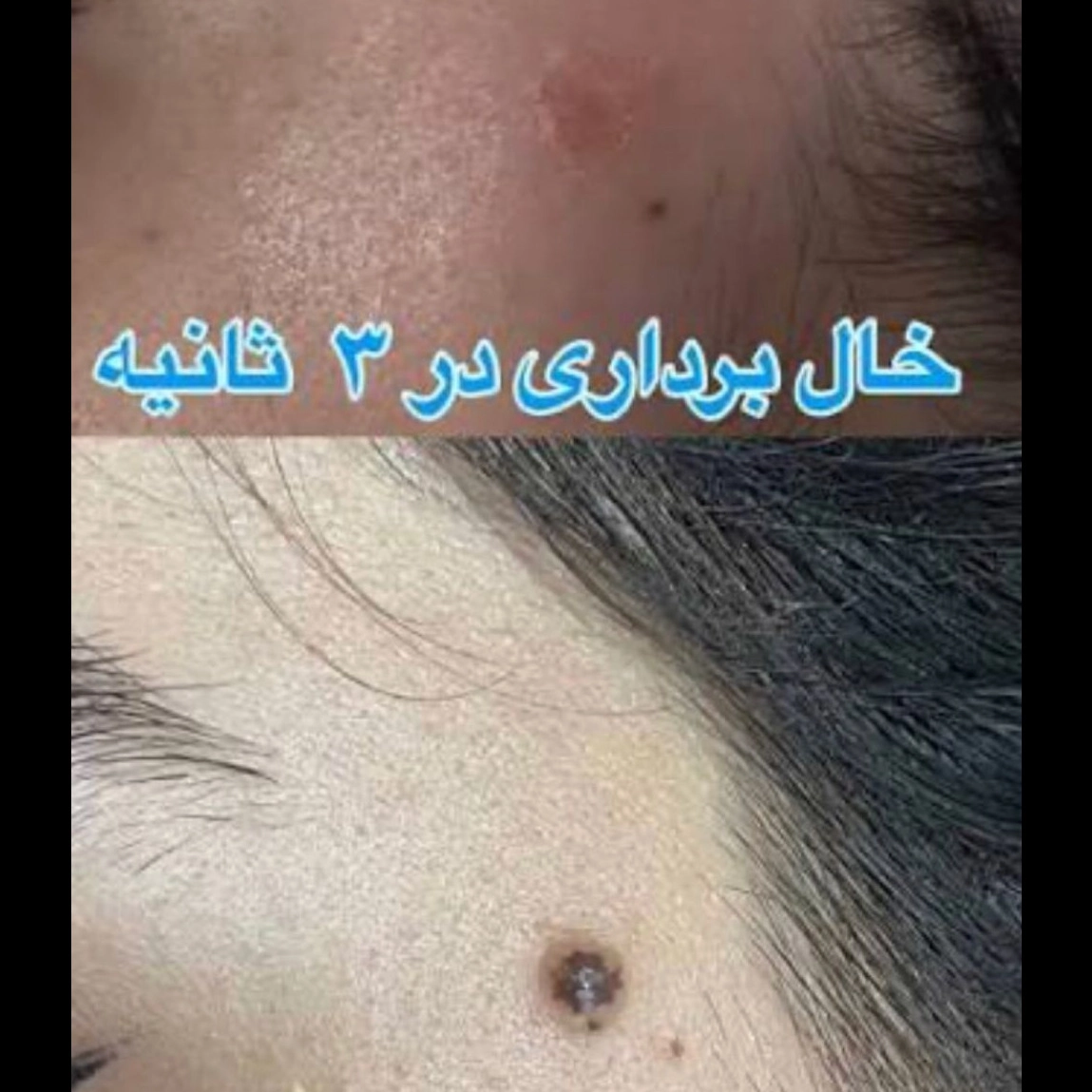 1777362743699.webp