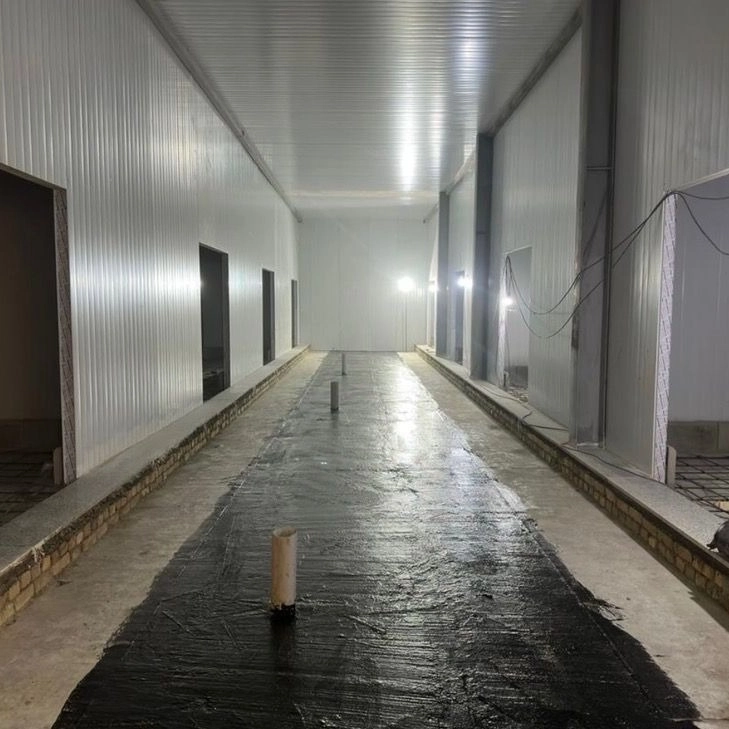 1779195448576.webp
